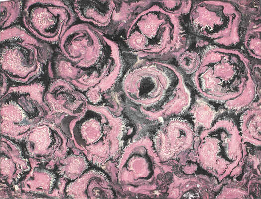 Тарханов Михаил Михайлович. Композиция 